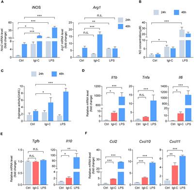 The macrophage polarization in Entamoeba histolytica infection modulation by the C fragment of the intermediate subunit of Gal/GalNAc-inhibitable lectin